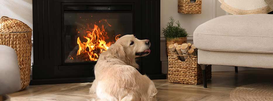 Electric Fireplace Heating capability with dog sitting in front of it